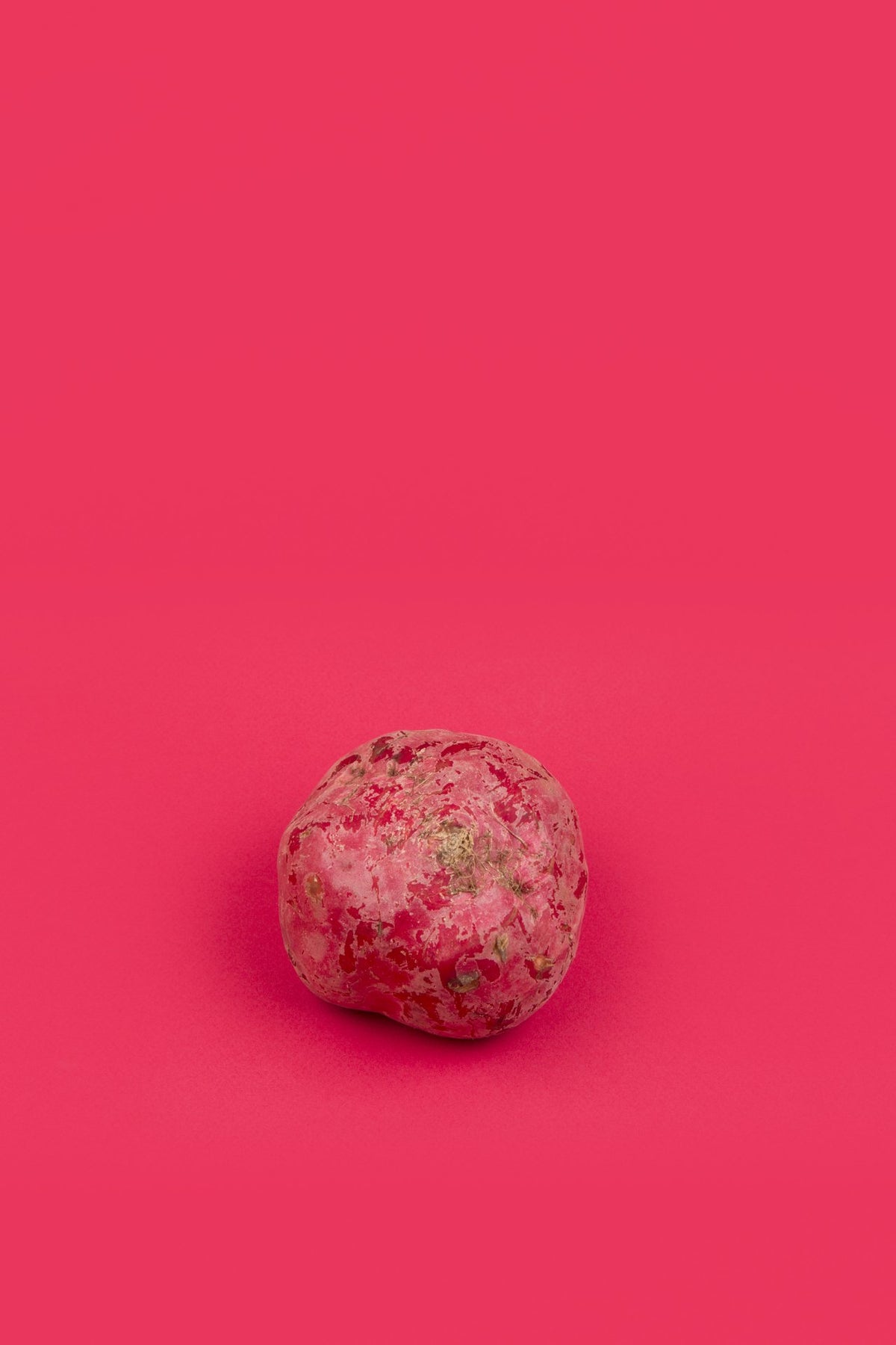 Betterave rouge Image